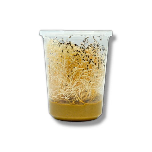 Hydei Fruit Fly Cultures