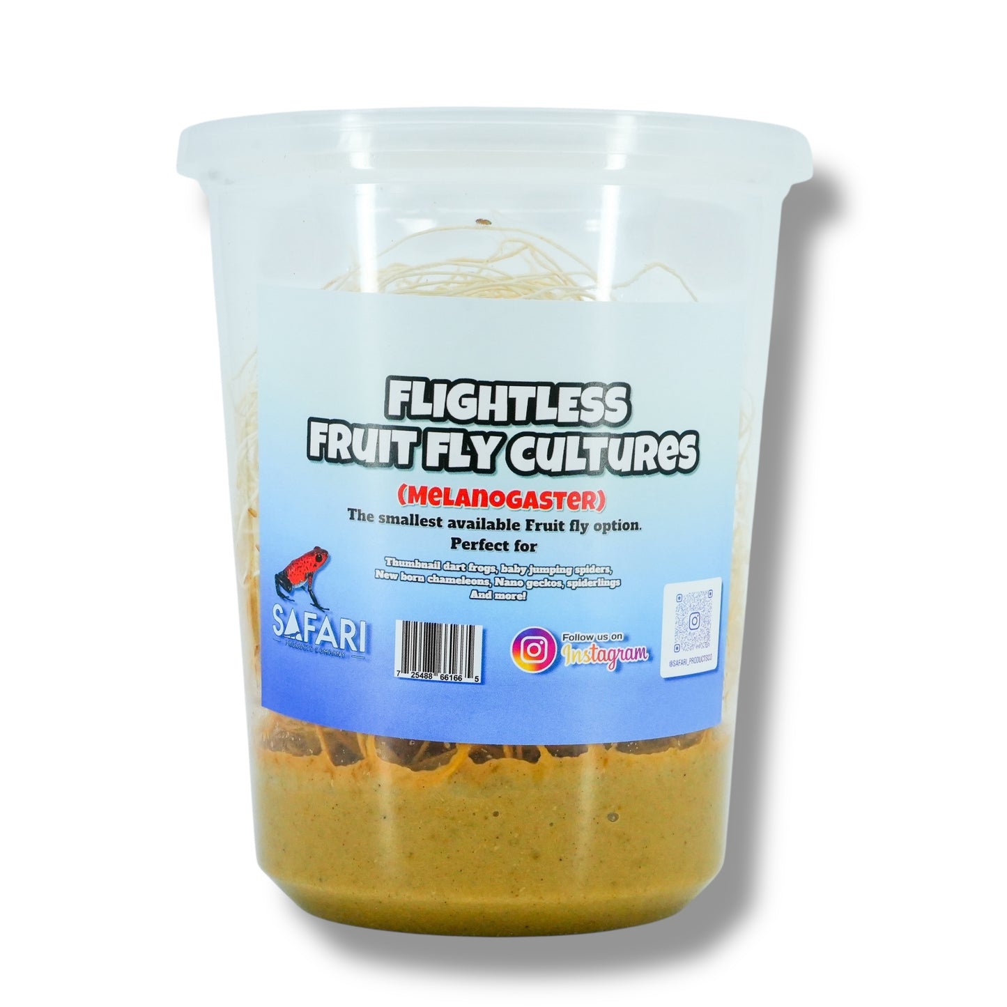 Melanogaster Fruit Fly Cultures