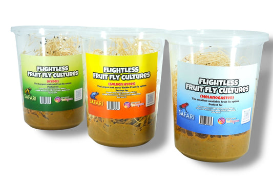 Fruit Fly Combo Pack
